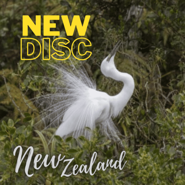 KOTUKU – Strata | RPM Discs – Image 4